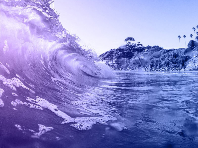 PPC Service San Diego