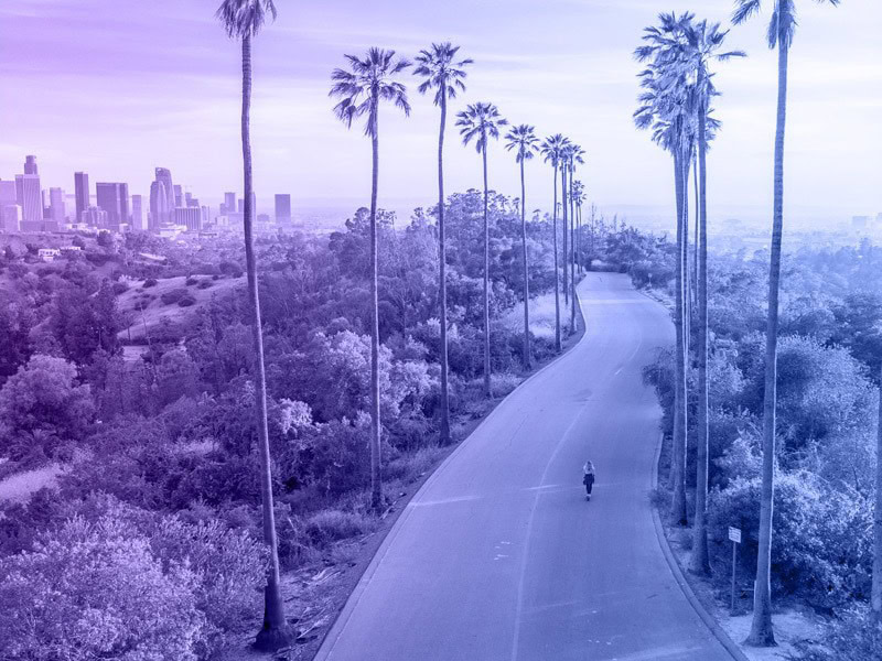 Affordable SEO Services for small businesses